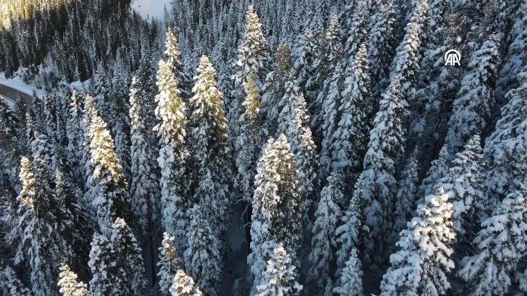 Ilgaz Dağı'nda kartpostallık görüntüler - Resim: 7